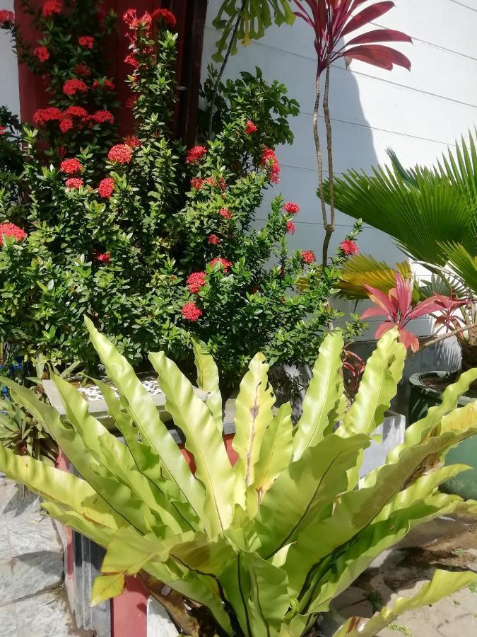 Rainbow Beach Hotel Hikkaduwa Bagian luar foto